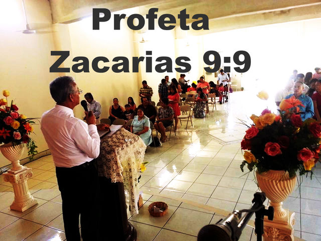 Portada del Video en Youtube:
https://www.youtube.com/watch?v=GOhZ-3l5xns